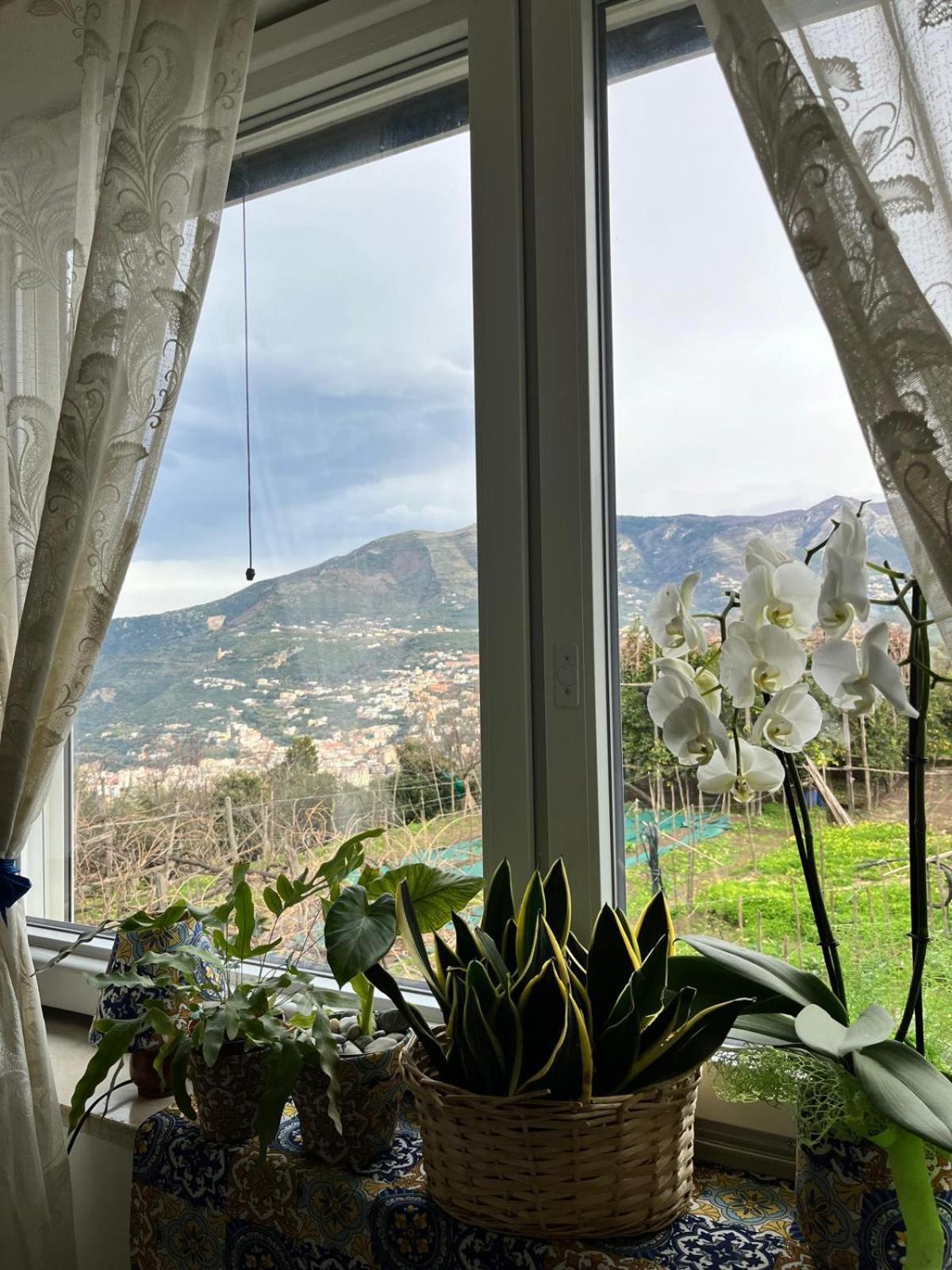 Elisabeth Seaview Apartments Sorrento Coast Vico Equense Exterior foto