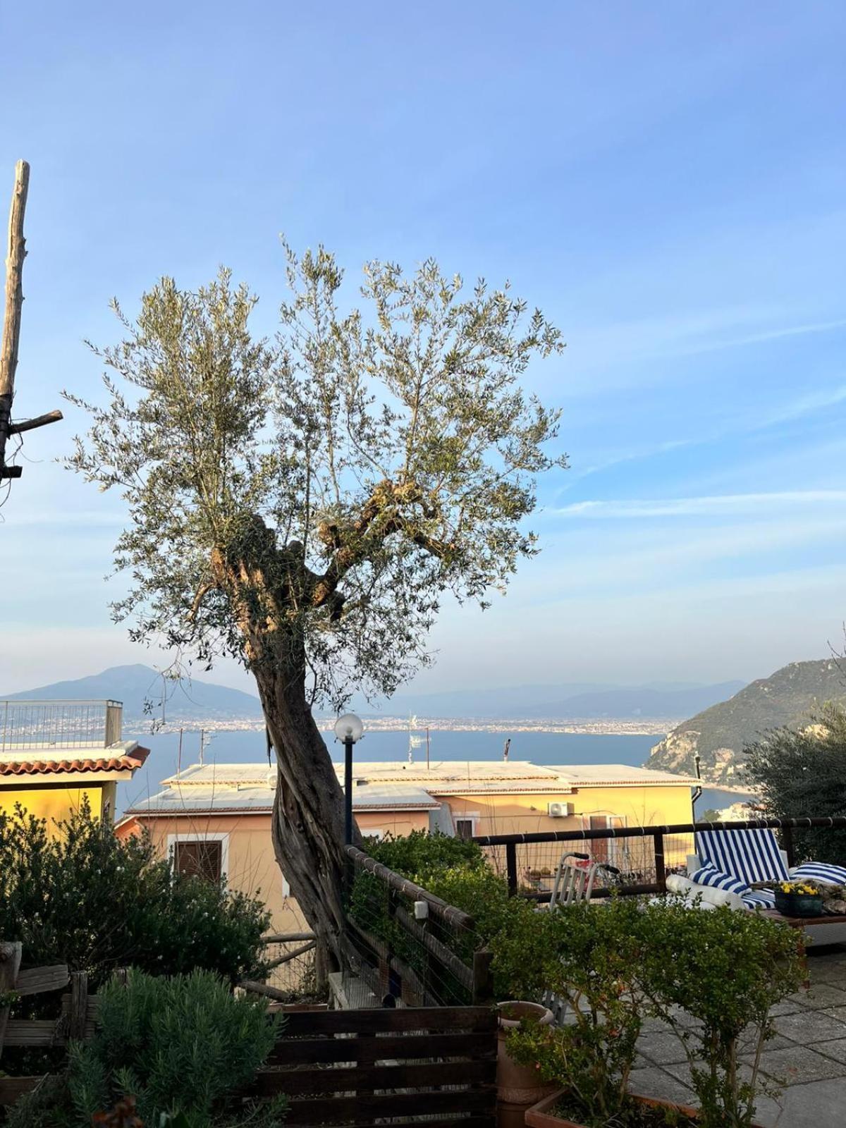 Elisabeth Seaview Apartments Sorrento Coast Vico Equense Exterior foto